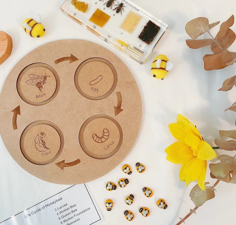 Bee Lifecycle Puzzle Set Wooden