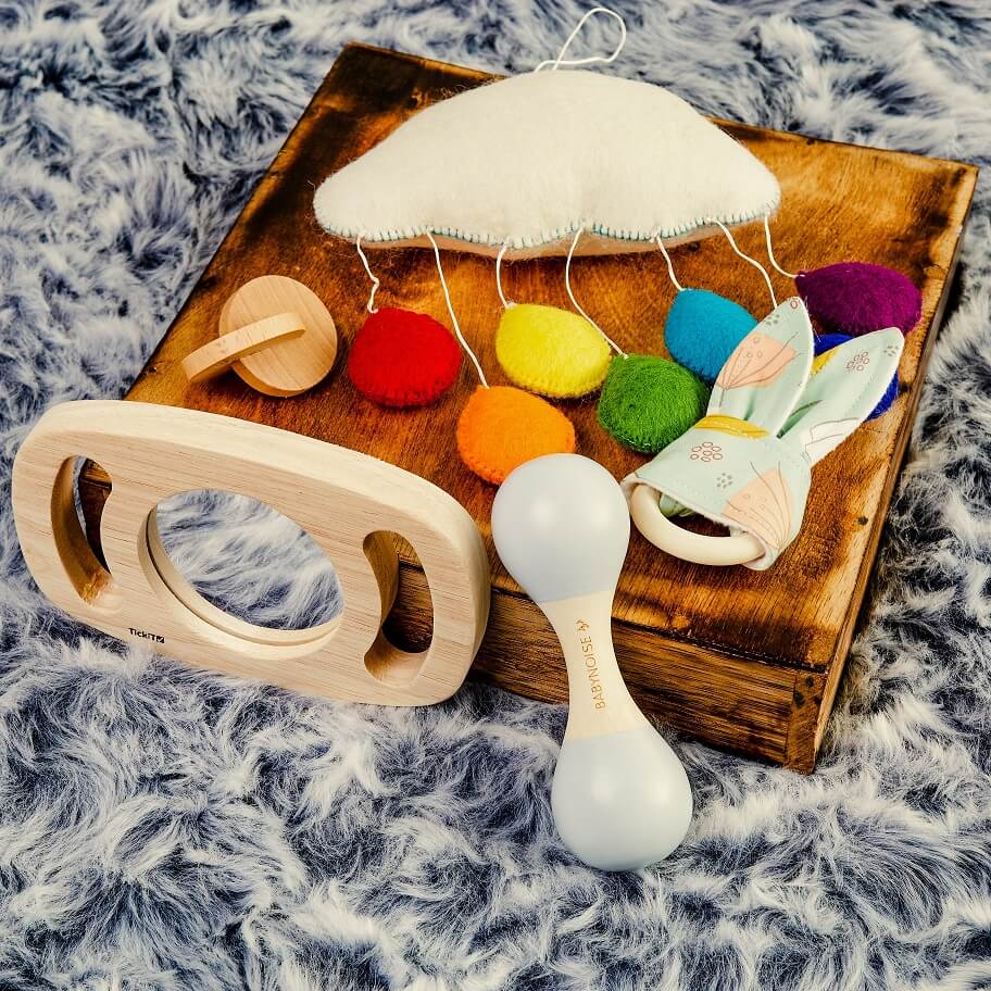 Welcome Baby - Newborn Developmental Complete Set